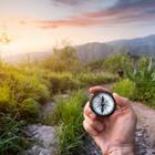 Pikoso.kz/Shutterstock.com