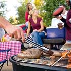 Sean Locke Photography/Shutterstock.com