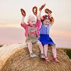 FamVeld/Shutterstock.com