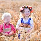 FamVeld/Shutterstock.com