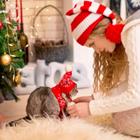 Forewer/Shutterstock.com