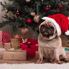 LightField Studios/Shutterstock.com