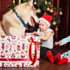 Osadchaya Olga/Shutterstock.com