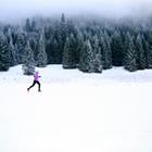 Blazej Lyjak/Shutterstock.com