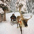 Roman Babakin/Shutterstock.com