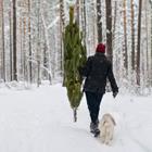 Nikolaev Mikhail/Shutterstock.com
