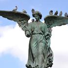 Ksenia Ragozina/Shutterstock.com