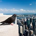 Radomir Rezny/Shutterstock.com