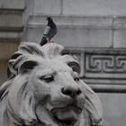 Photos by Kelli/Shutterstock.com