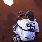 Daniel M. Silva/Shutterstock.com