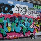 Leonard Zhukovsky/Shutterstock.com