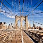 Andrey Bayda/Shutterstock.com