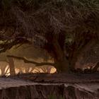 Ivanov Gleb/Shutterstock.com