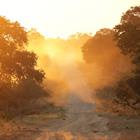 Lemonreel/Shutterstock.com