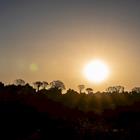 Lucas T. Jahn/Shutterstock.com