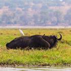 StanislavBeloglazov/Shutterstock.com