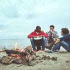 Olena Yakobchuk/Shutterstock.com