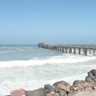 bmszealand/Shutterstock.com