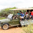 Anton_Ivanov/Shutterstock.com