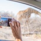 Fabio Lamanna/Shutterstock.com