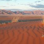 Sofoklo/Shutterstock.com