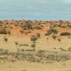 Donal Mullins/Shutterstock.com