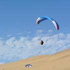 Stephen Murdoch/Shutterstock.com