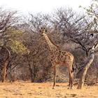 Jef Wodniack/Shutterstock.com