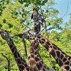 Mariola Anna S/Shutterstock.com