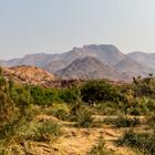 Alan Hendry/Shutterstock.com