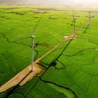 Nguyen Quang Ngoc Tonkin/Shutterstock.com