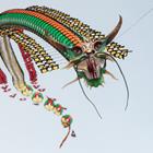 robbihafzan/Shutterstock.com