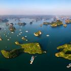 Nguyen Quang Ngoc Tonkin/Shutterstock.com