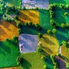 Nguyen Quang Ngoc Tonkin/Shutterstock.com