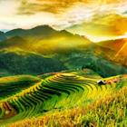 John Bill/Shutterstock.com