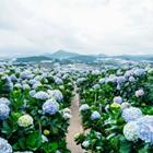 Vichaiyut Tongmak/Shutterstock.com