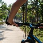 ANRproduction/Shutterstock.com