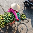 Vietnam Stock Images/Shutterstock.com