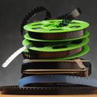 Comugnero Silvana/stock.adobe.com