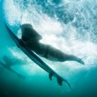 Away/Shutterstock.com