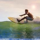 trubavin/Shutterstock.com