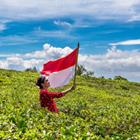 Fery Mulyana/Shutterstock.com