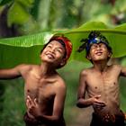 CRStudio/Shutterstock.com