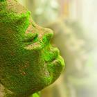 neenawat khenyothaa/Shutterstock.com