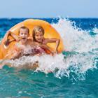 Tropical studio/Shutterstock.com