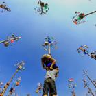 Ari Wid/Shutterstock.com