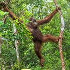 Sergey Uryadnikov/Shutterstock.com