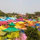 Robert Haandrikman/Shutterstock.com