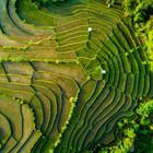 Akhmad Dody Firmansyah/Shutterstock.com