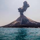 feygraphy/Shutterstock.com